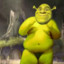 Shrek’s little pog champ