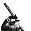 reyn