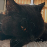 月月會後空翻OWO