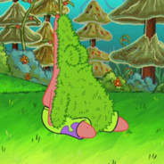 烟弹寄一个给理塘的丁