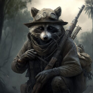 Raccoon Recon