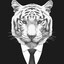 TigerKing