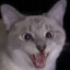 keet