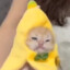 Banana Cat