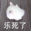名字不重要