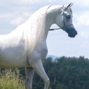 Bo Hyona3a3aA - steam id 76561198165285652