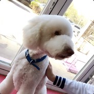 王同学500+素质严查