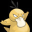 cacha cachimbas de 16 (psyduck)