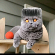 fosfard