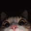 des