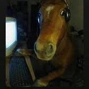 щас че? avatar