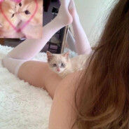 Ночь с альтушкой