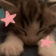 asdf - steam id 76561199520224457