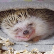 Amaterazu - steam id 76561198202604400