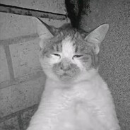 下等马给我田忌吧