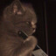 meowww