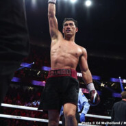 Bivol