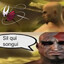 rolo nait