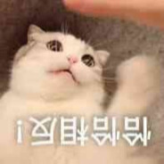 国宝级退堂鼓专家小惰