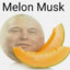 melon_musk