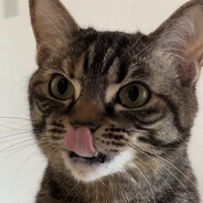 蒙德城第一突破手可莉