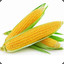 General&#039;s Corn