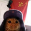 нюхай бебру