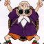 Master Roshi