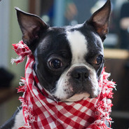 Dogchef - steam id 76561197971697156
