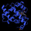 Miyoglobin