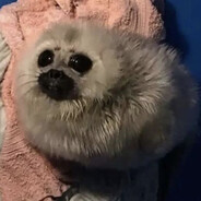 ГДЕ МОЙ СТВОЛ СУК