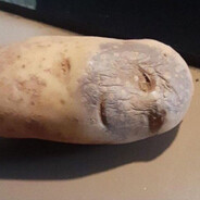 корънеплодъ