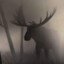 hidden_moose