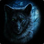 BLACK_WOLF