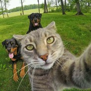 成都李拓海小号