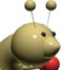 Stickbugpoop