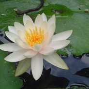 相亲相爱一家人