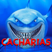 cacharias