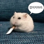 굴러다니는햄스터