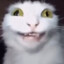quekerekere