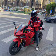 『散人组织』风仔