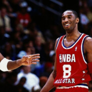 在等冬天的怪鸽