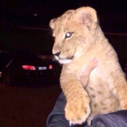 naraxatele - steam id 76561199809219966