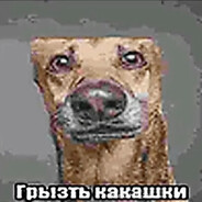 пушистая шлюшка:)