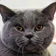 Torreip Steam avatar