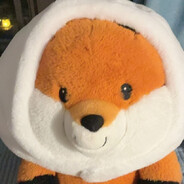         狐        狸