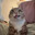 Crankshaft Wigglemeat