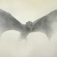 Lantern_第十七盏灯笼