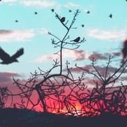 988 - steam id 76561198304663486