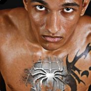 Spider